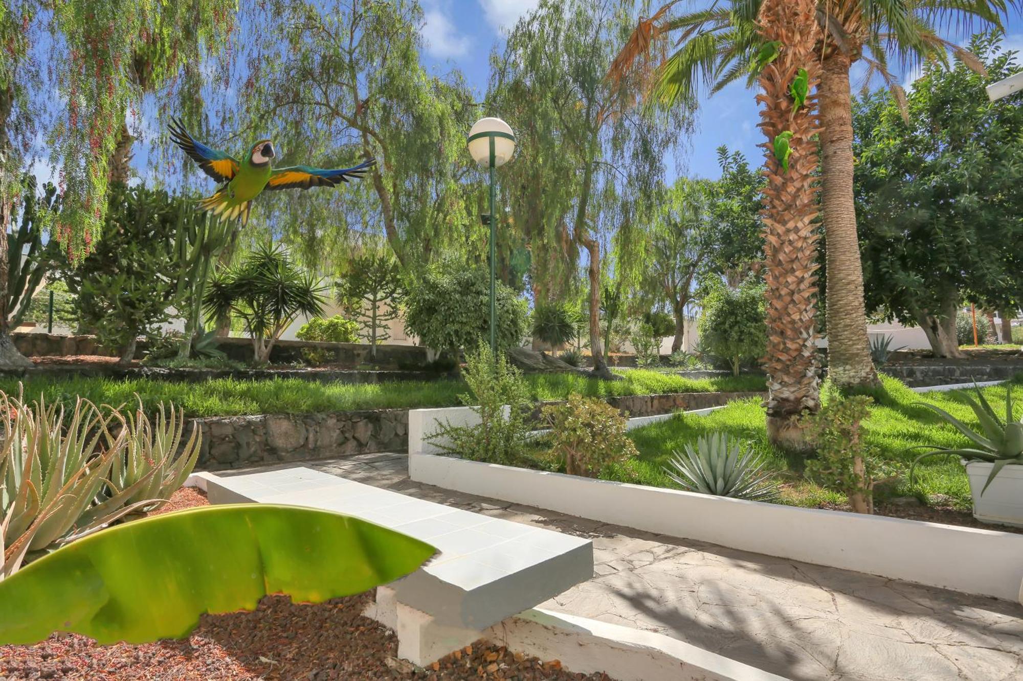 Apartment Parrot Paradise Studio, Wifi, Smart Tv, Pool Costa Del Silencio
